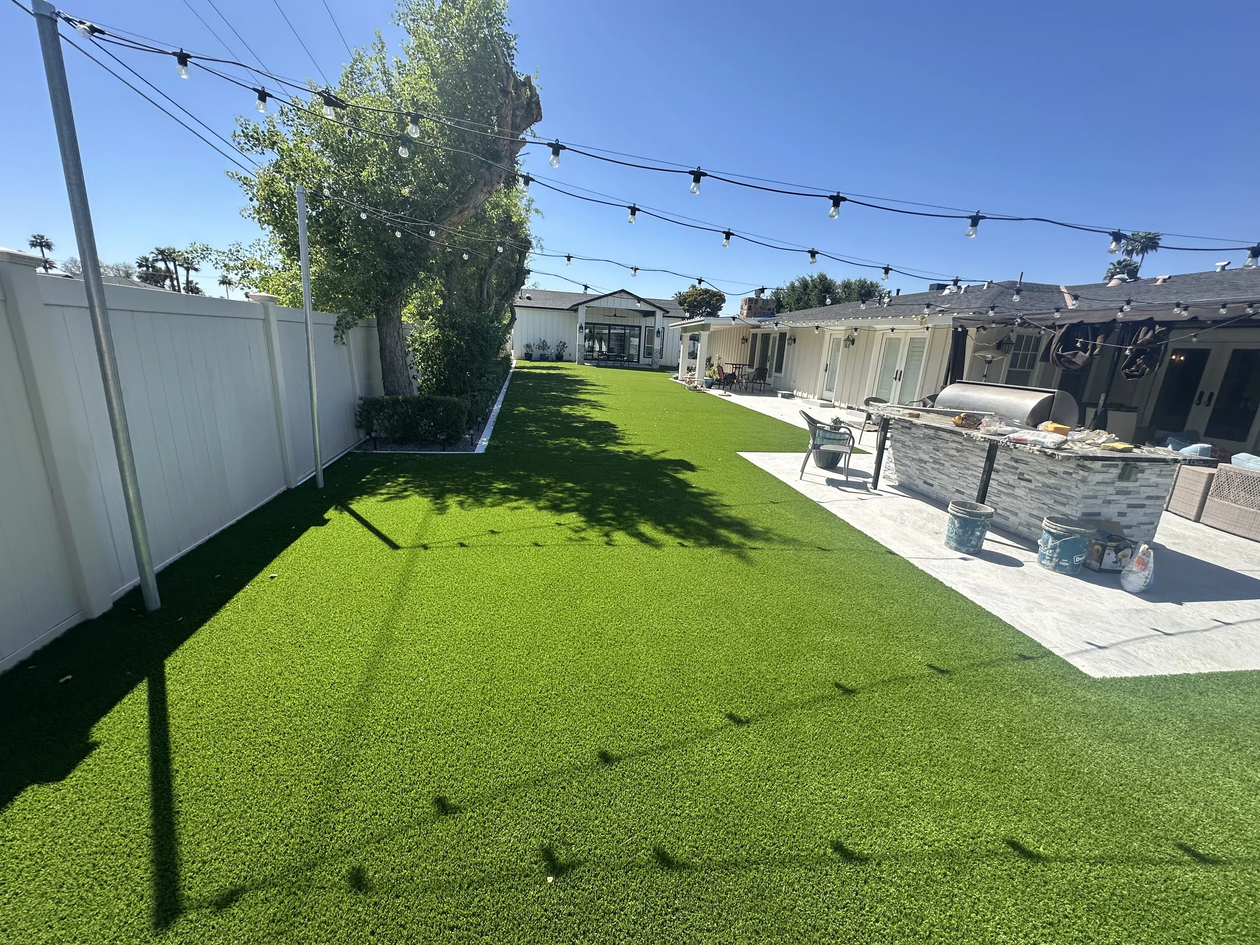 After: Backyard renovation with native plants and paver patio